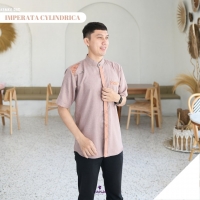 kemeja - Imperata Cylindrica dad pendek