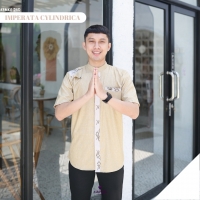 kemeja - Imperata Cylindrica dad pendek