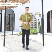 kemeja - Imperata Cylindrica dad pendek