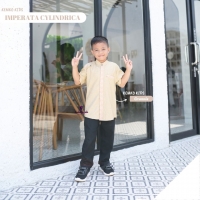 kemeja - Imperata Cylindrica Boy