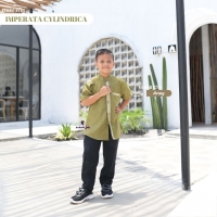 kemeja - Imperata Cylindrica Boy