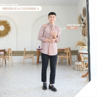 Kemeja - Imperata Cylindricaa Dad Panjang
