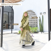 Dress anak - Imperata cylindrica girl